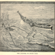 Illustration for article titled This gruesome 1889 biology book outlined the many ways animals will kill us